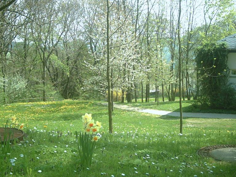 Park Sanssouci