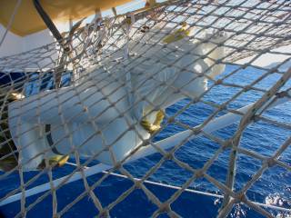 Royal_Clipper_0164