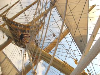 Royal_Clipper_1025