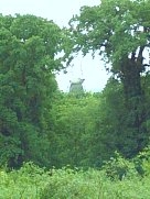 Schloss-Sanssouci-Musikfestspiele_09071a