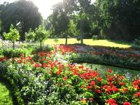 sights-Schloss-Sanssouci_0118b